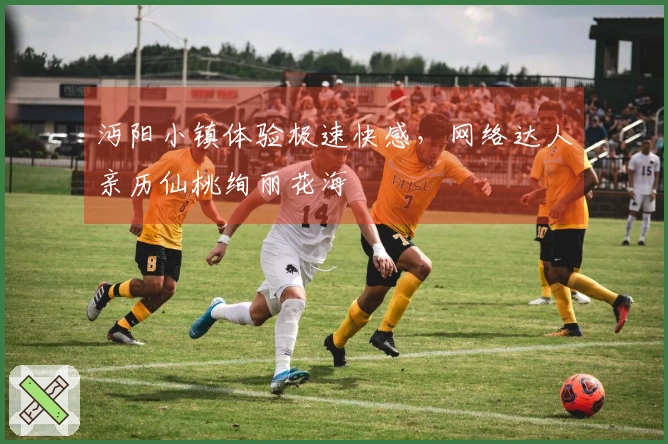 沔阳小镇体验极速快感，网络达人亲历仙桃绚丽花海
